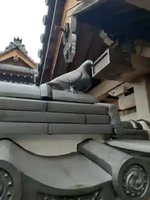 了信寺の{uncategorized: "未分類", other: "その他", undefined: "問題あり", building: "その他建物", grave: "お墓", sacred_gate: "鳥居", guardian: "狛犬", statue: "像", buddha: "仏像", history: "歴史", nature: "自然", garden: "庭園", animal: "動物", pagoda: "塔", temizu: "手水舎", mountain_gate: "山門・神門", sanctuary: "本殿・本堂", subordinate: "末社・摂社", art: "芸術", scenery: "景色", jizo: "地蔵", ema: "絵馬", goshuin: "御朱印", omikuji: "おみくじ", items: "授与品その他", amulet: "お守り", goshuincho: "御朱印帳", eats: "食事", festival: "お祭り", votive_dance: "神楽", shichigosan: "七五三参", wedding: "結婚式", experience: "体験その他", initially: "初詣", around: "周辺", anti_infection: "感染症対策"}