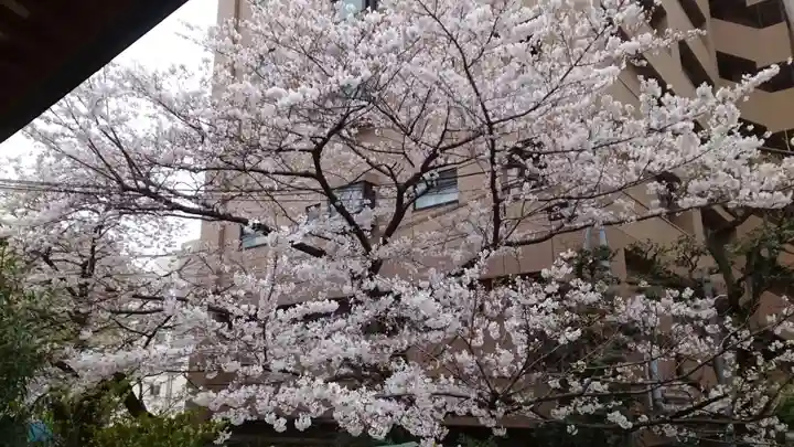 秋葉神社(東京都)