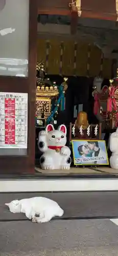 今戸神社(東京都)