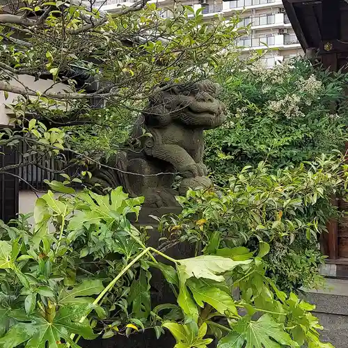 古録天神社の狛犬