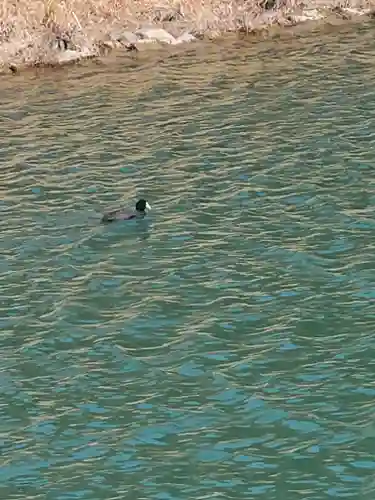 岩倉神社(栃木県)
