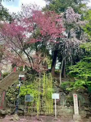 駒込富士神社(東京都)