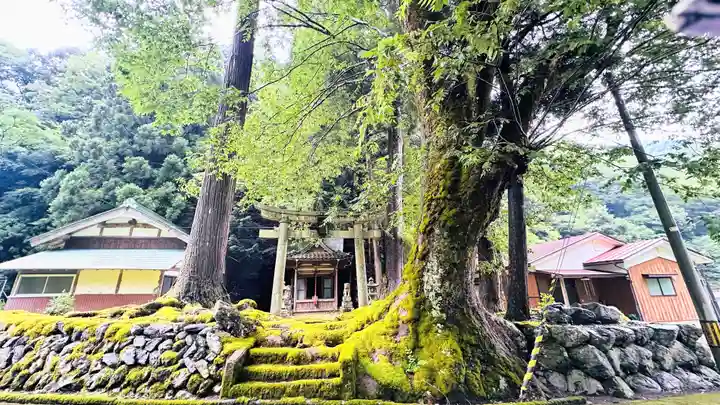 八幡神社(福井県)