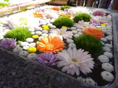 高円寺氷川神社の手水舎