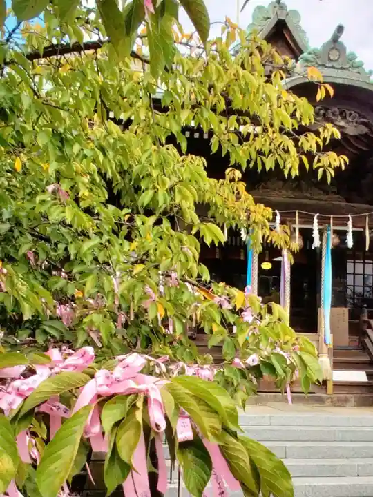 桜神宮(東京都)