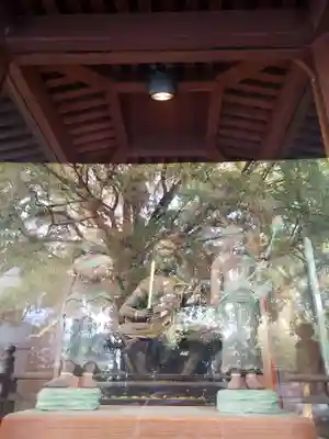 回向院(東京都)