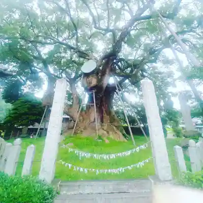大楠神社のその他建物