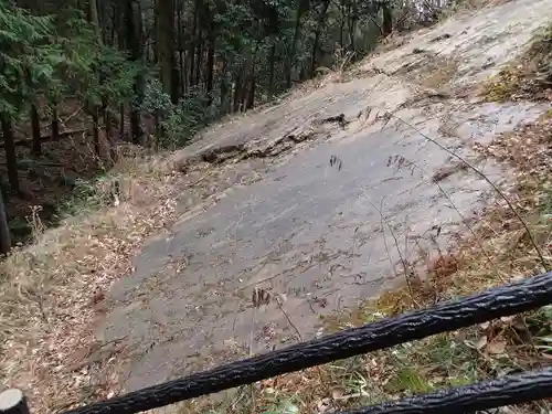 武蔵二宮 金鑚神社の自然