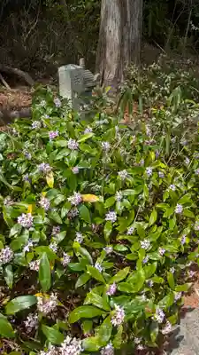 十輪寺(京都府)