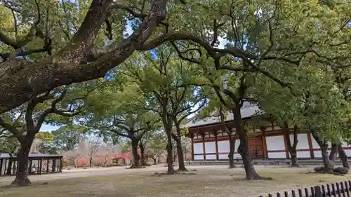 東寺（教王護国寺）(京都府)