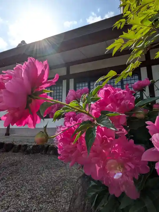 瑞円寺(東京都)