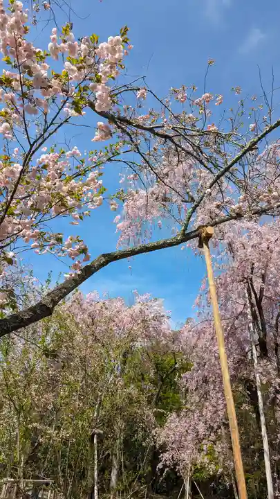 龍安寺(京都府)