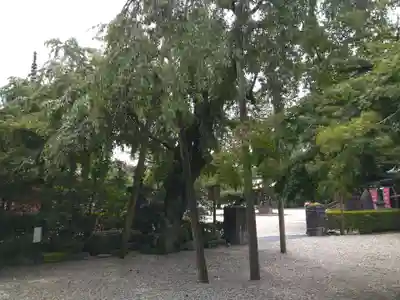 喜多院のその他建物