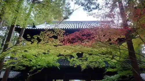 曹源寺(岡山県)