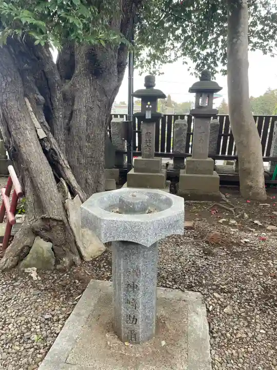 咤枳尼天堂 (出世稲荷)の{uncategorized: "未分類", other: "その他", undefined: "問題あり", building: "その他建物", grave: "お墓", sacred_gate: "鳥居", guardian: "狛犬", statue: "像", buddha: "仏像", history: "歴史", nature: "自然", garden: "庭園", animal: "動物", pagoda: "塔", temizu: "手水舎", mountain_gate: "山門・神門", sanctuary: "本殿・本堂", subordinate: "末社・摂社", art: "芸術", scenery: "景色", jizo: "地蔵", ema: "絵馬", goshuin: "御朱印", omikuji: "おみくじ", items: "授与品その他", amulet: "お守り", goshuincho: "御朱印帳", eats: "食事", festival: "お祭り", votive_dance: "神楽", shichigosan: "七五三参", wedding: "結婚式", experience: "体験その他", initially: "初詣", around: "周辺", anti_infection: "感染症対策"}