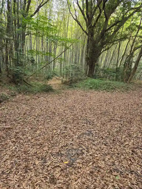 日吉神社(山口県)