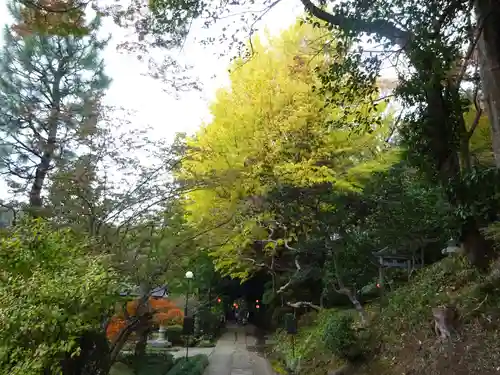 天台宗　長窪山　正覚寺の自然