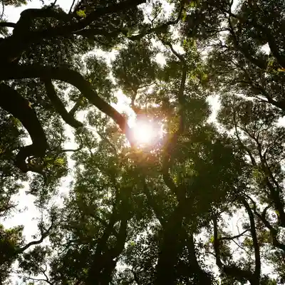 沼尾神社の自然