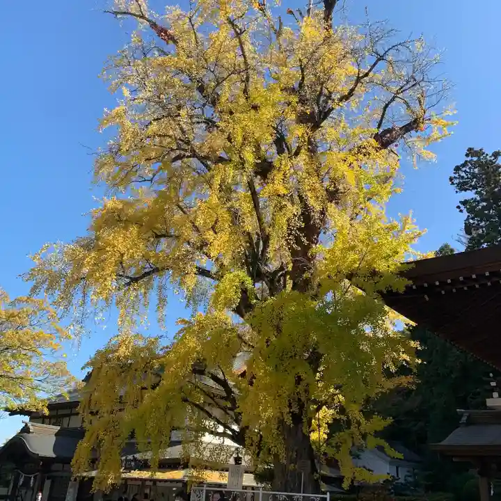 吉備津神社の自然