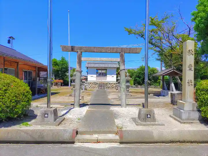 秋葉社(神明津秋葉筋)の鳥居