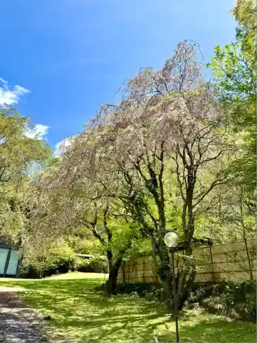 白龍神社(神奈川県)