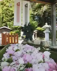 立志神社の手水