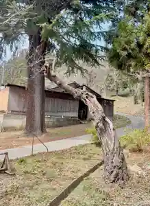 蚊里田八幡宮(長野県)(2025年03月27日(木) 12時56分37秒投稿)