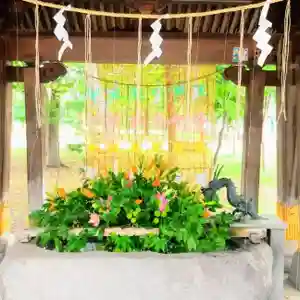 彌彦神社 (伊夜日子神社)の手水舎(2023年07月30日(日) 11時56分46秒投稿)