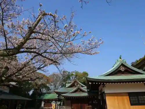 多井畑厄除八幡宮(兵庫県)