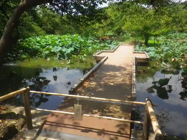 鶴岡八幡宮の庭園
