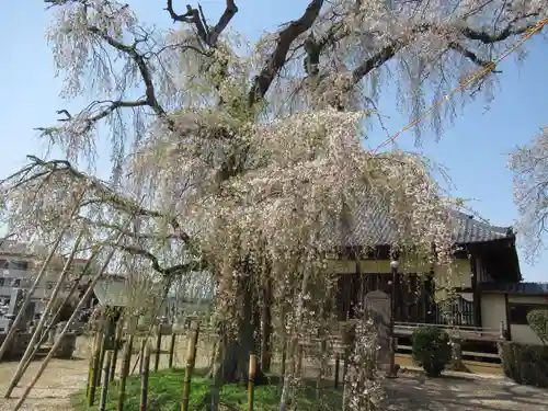 観音寺(茨城県)