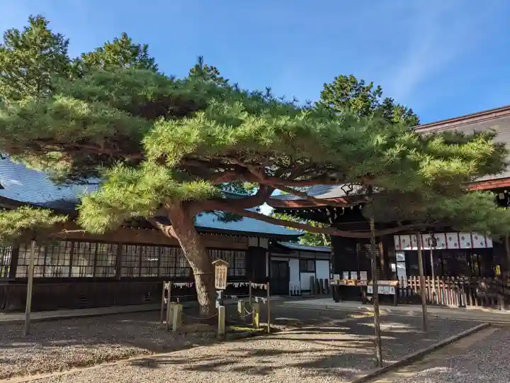 尾張冨士大宮浅間神社(愛知県)