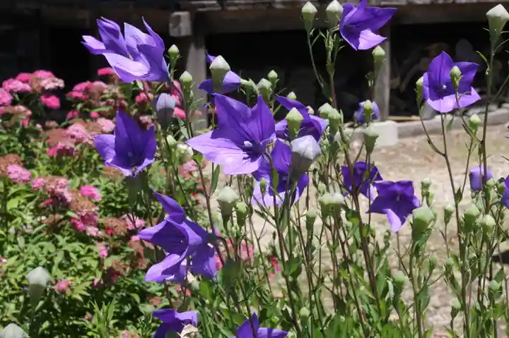 大洞弁財天 長寿院(滋賀県)
