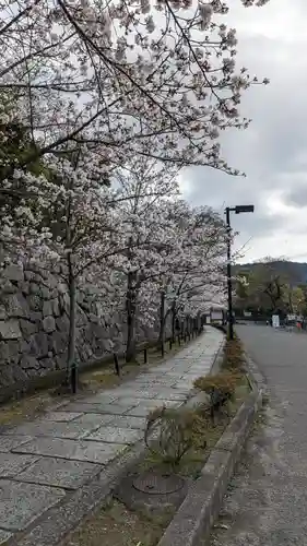 くろ谷 金戒光明寺(京都府)