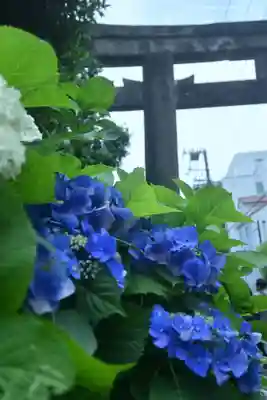白山神社(東京都)
