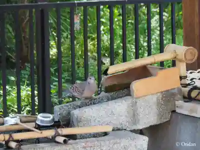 白峯神宮(京都府)