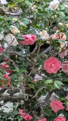 西方寺(京都府)