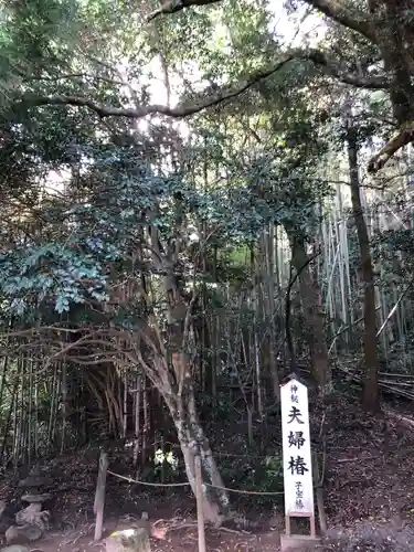 八重垣神社の自然