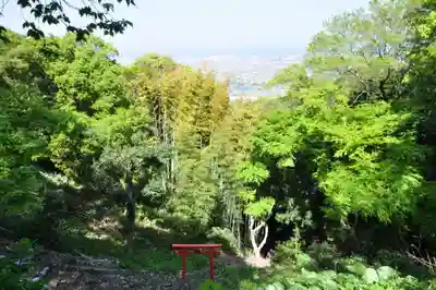 仙遊寺(愛媛県)