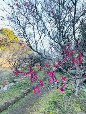 東行庵(山口県)