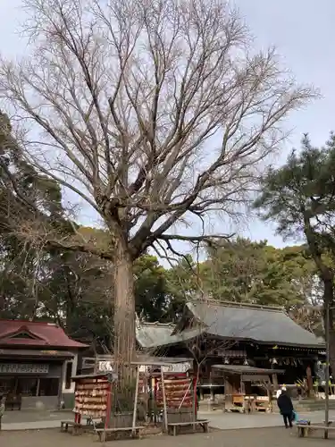 平塚八幡宮(神奈川県)