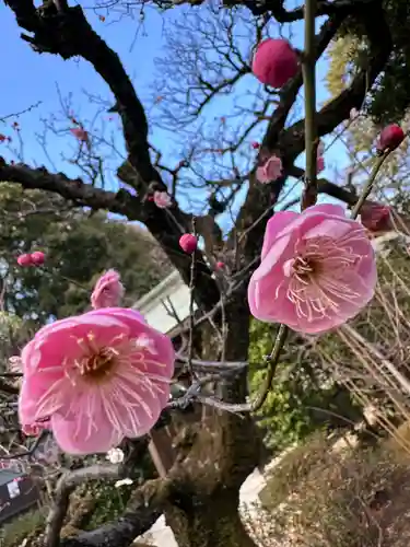 布多天神社の自然
