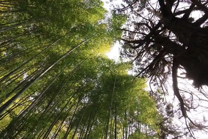 日枝神社の自然