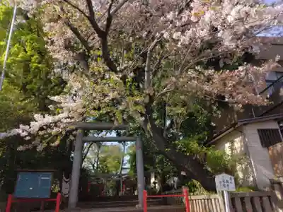 赤堤六所神社(東京都)