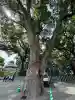 加藤神社(熊本県)