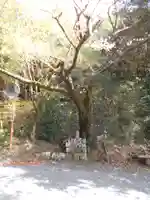 三蔵金刀比羅宮(熊本県)