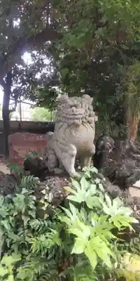 柏諏訪神社(千葉県)