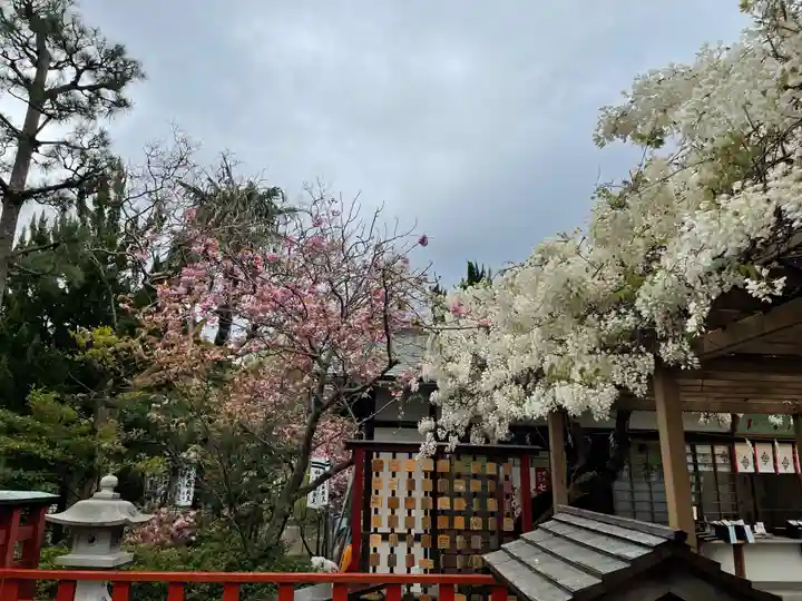 旗上弁財天社の自然