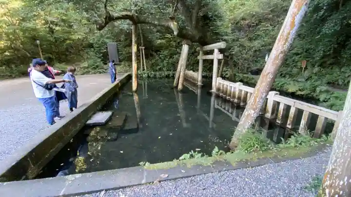 鹿島神宮(茨城県)