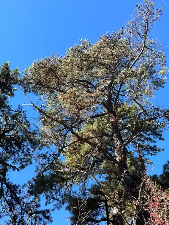武田神社(山梨県)